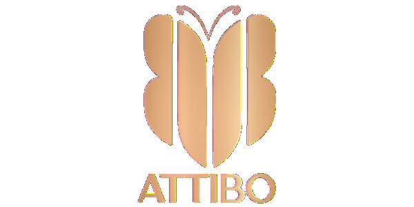 ATTIBO_transparent_same_dimensions